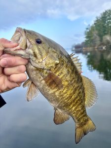 26-05-26 Fishing 03