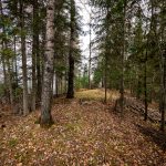 67 Coward - Exterior-11